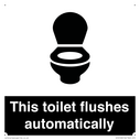 this-toilet-flushes-automatically~
